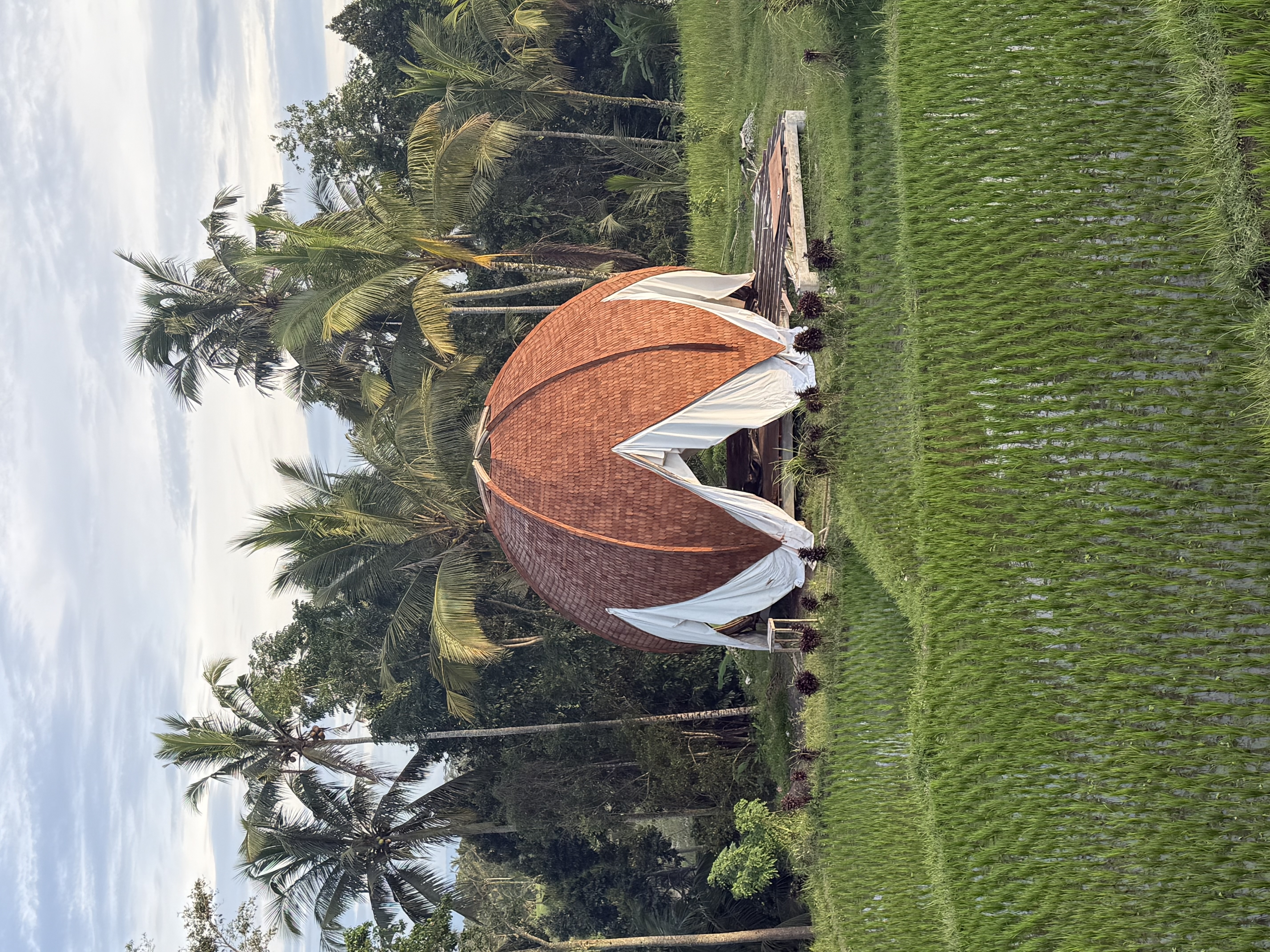 Trishula Dome in Bali rice paddies